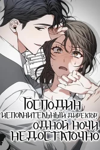 Господин исполнительный директор, одной ночи недостаточно
